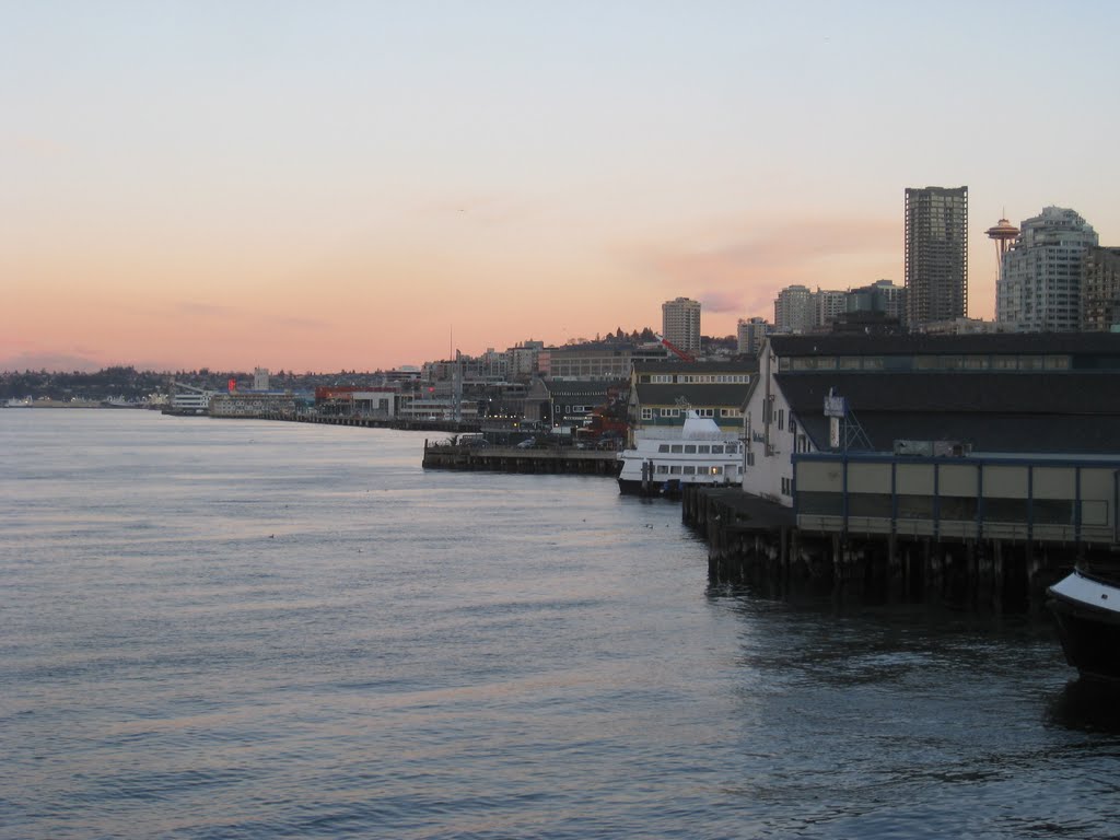 Seattle Harbor Front by Calsatx