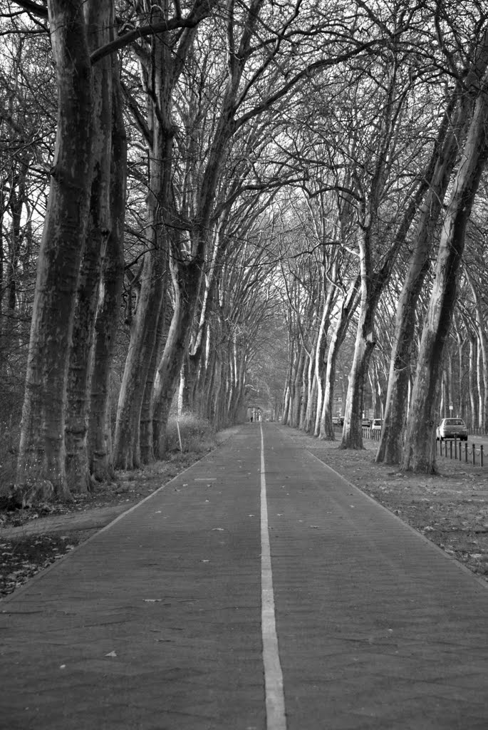 Alt-Treptow, Berlin, Germany by Damon Tighe