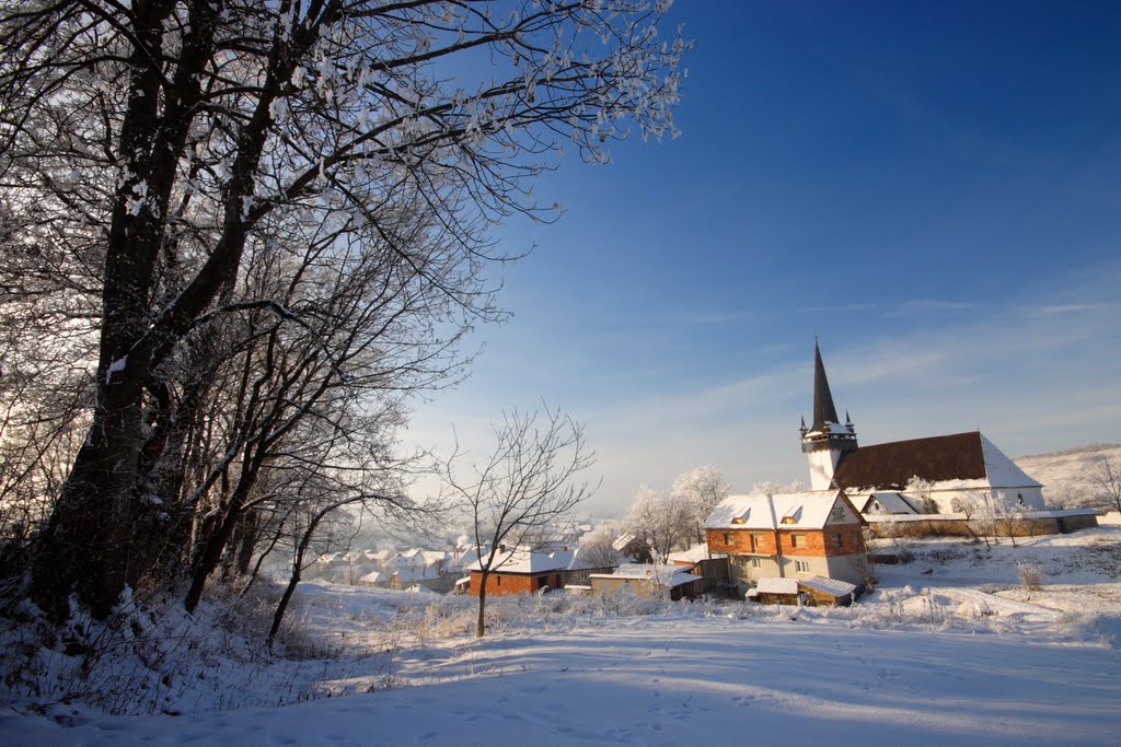 Fairytale winter by Marioana