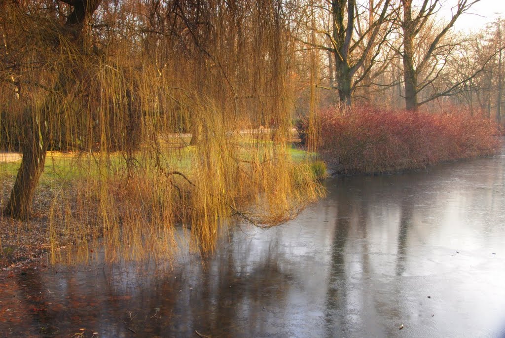 Tiergarten, Berlin, Germany by Damon Tighe