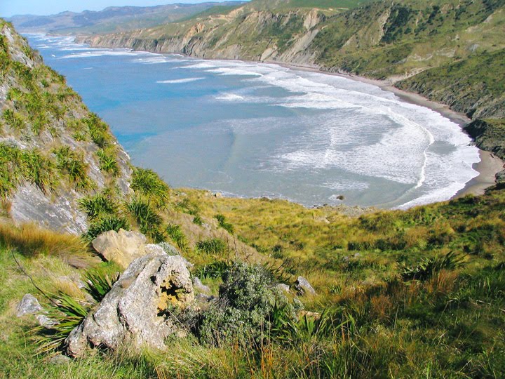 Castlepoint, New Zealand by Ian Besch