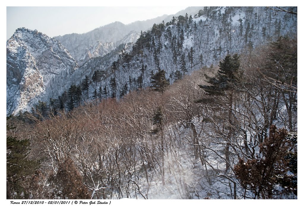 Seoraksan-ro, Sokcho-si, Gangwon-do, South Korea by Peter Goh