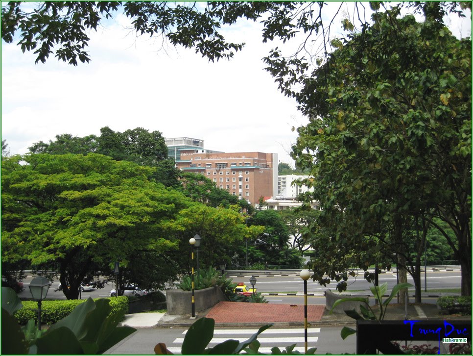 Fort Canning Park by Trung Đức