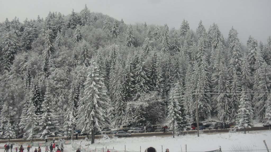 Cavnic, Romania by Vasile Talas