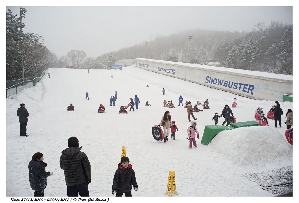 Oh....snowbuster....love it...just glide down by Peter Goh