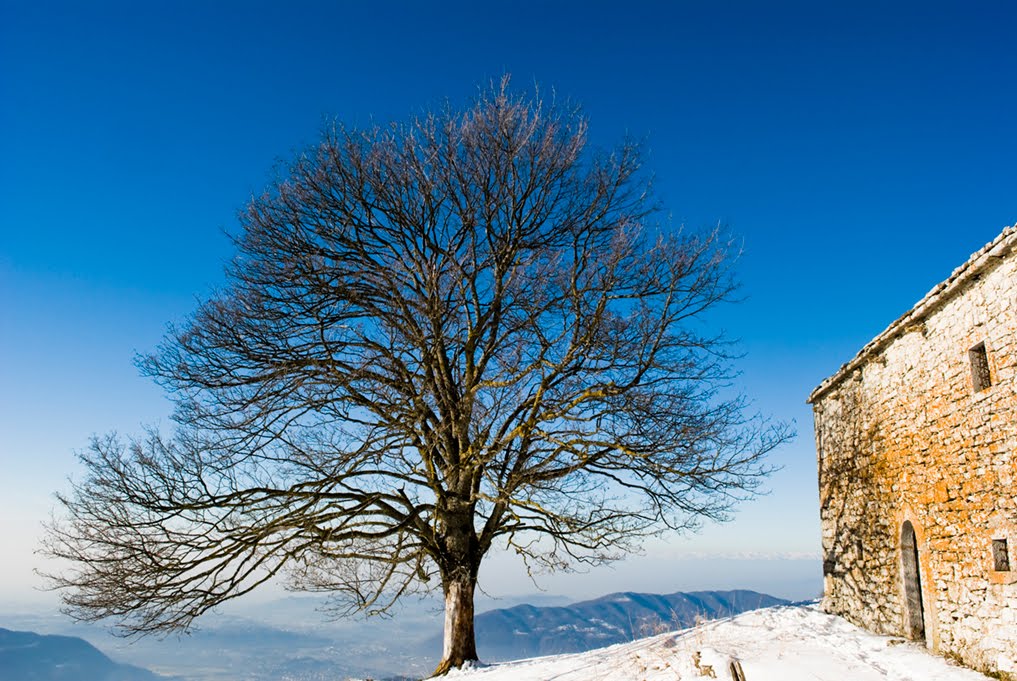 Warm Winter by filippo manini