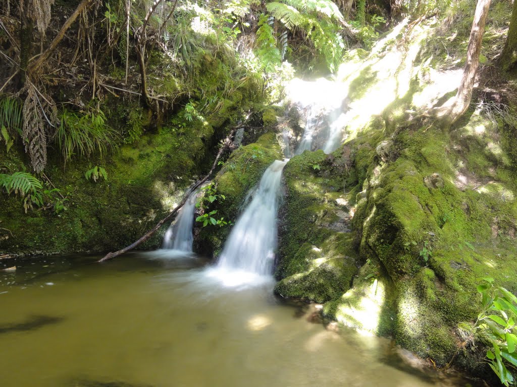 Onetahuti Pools by Mike Toews