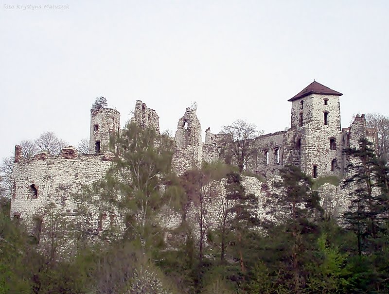 Zamek Tenczyn w Rudnie by Krystyna Matuszek