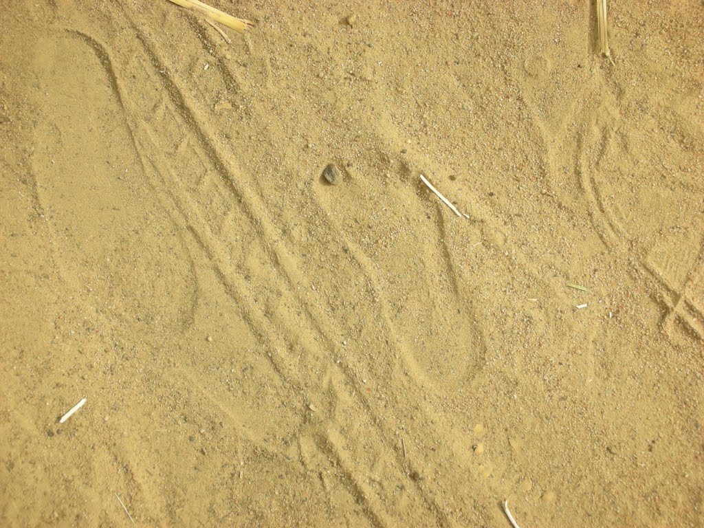 Ghana - child footprint on the sand of Aflao - Nov 07 by Filippo Aragone