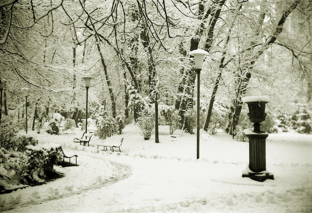 I giardini pubblici con la neve by Daniele Disingrini