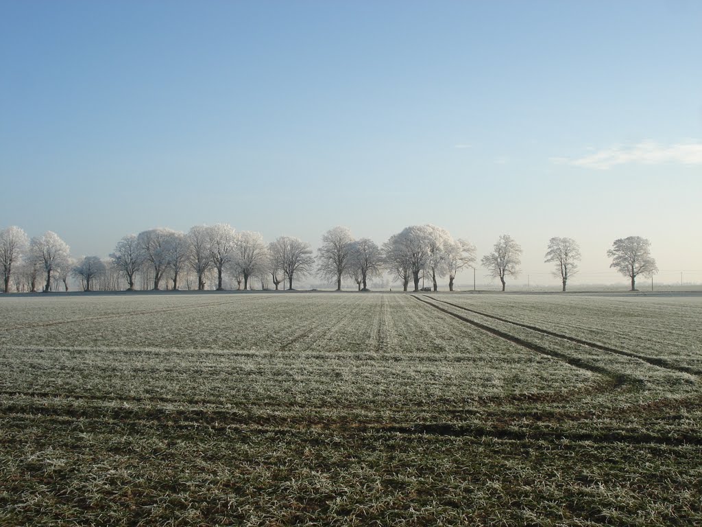 Blick auf den Weg zwischen Wendisch Langendorf und Hohendorf by sailorgroti