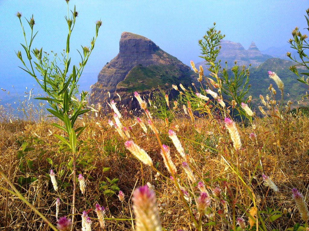 Natural view on KOKAN KADA by jayant_kore