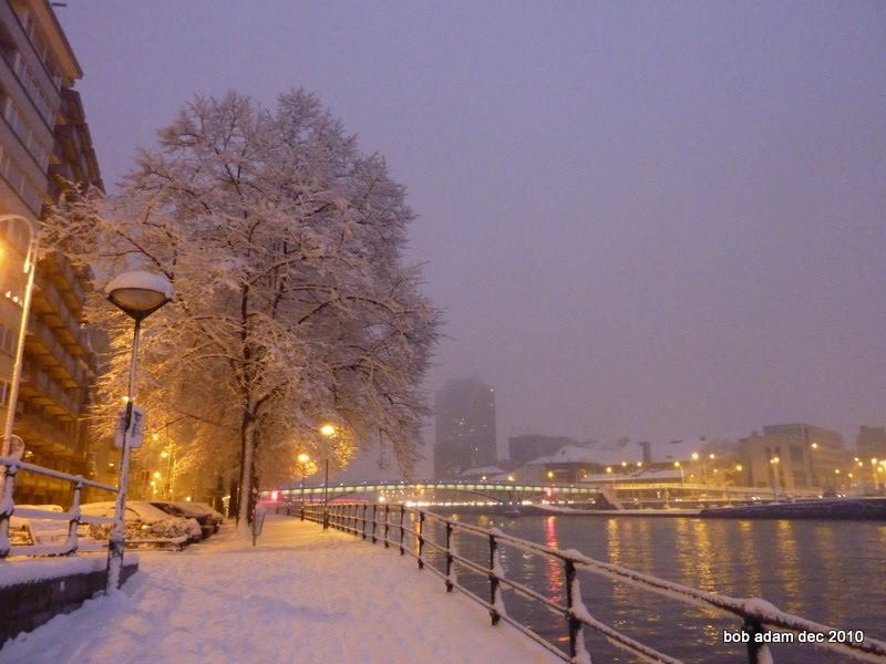 Quai de Gaule ( 19-12-2010 ) by Bob Adam