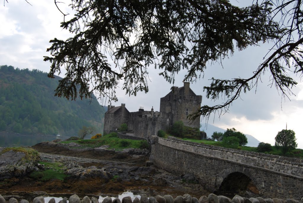 Highlander,Donan Castle,Scotland by Adixas