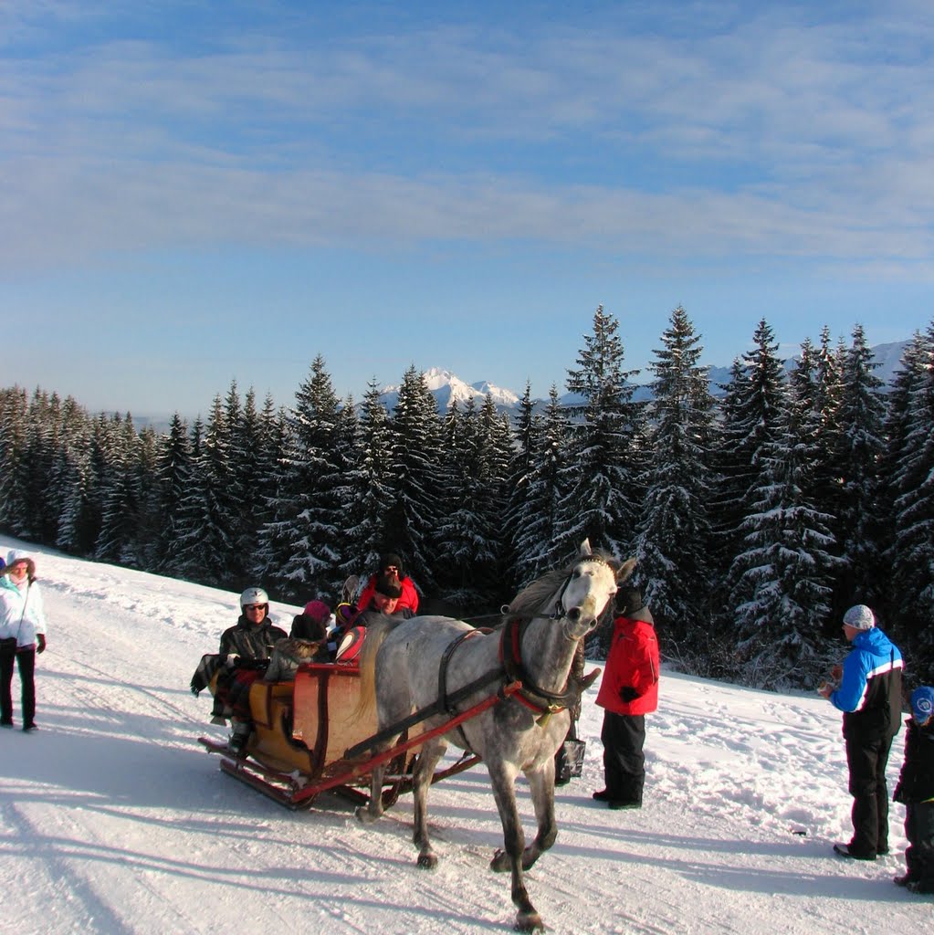 Tatry,Zakopane by andrey akifiev