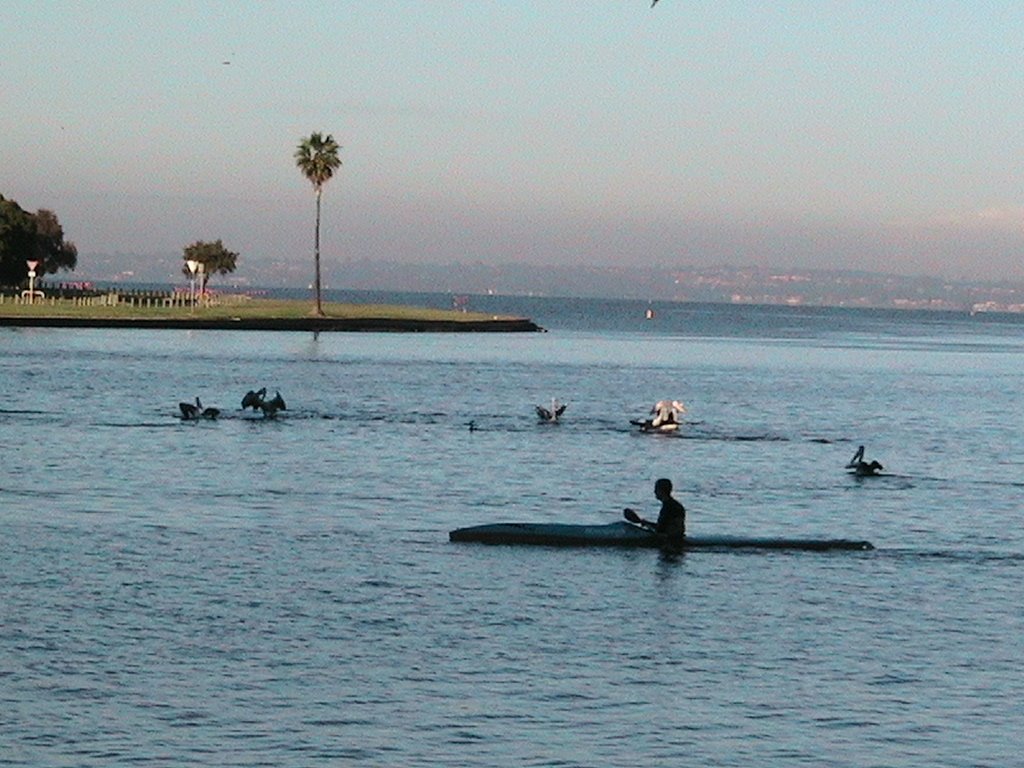 Canoe on Swan by davidmemb