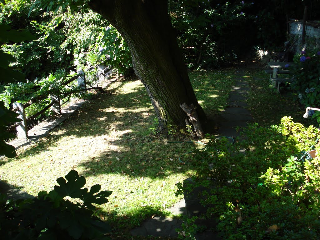 Garten Casa La Sorgente Brissago by greenplanet