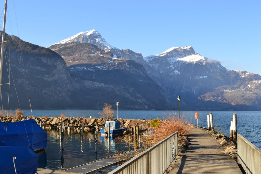 Blick auf die Flüeler Berge by Peter, W,