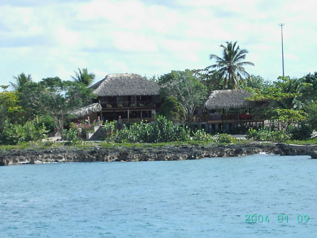 Isla Saona en R. Dominicana by Jackie BG