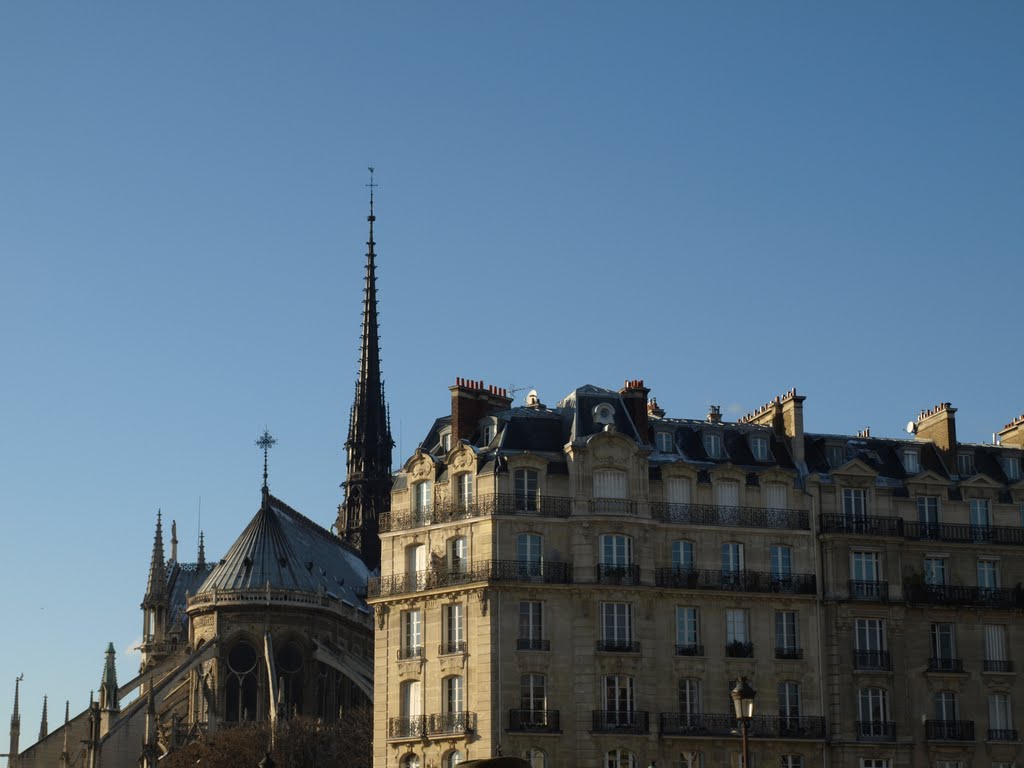 Cathédrale Notre Dame de Paris. by Hans R. van der Woud…