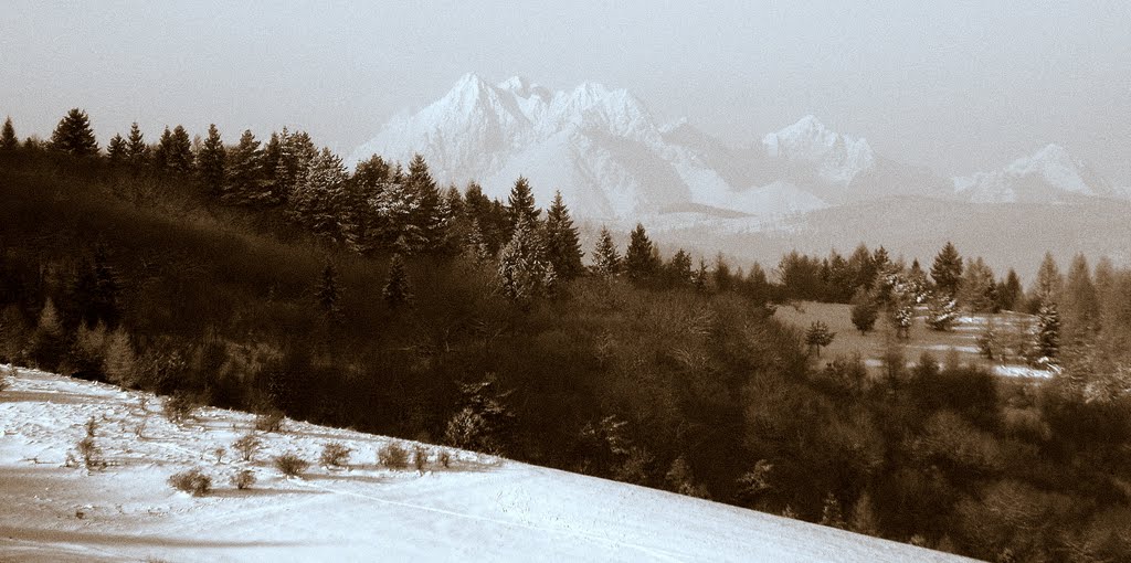 Tatry z cesty medzi Kohútom a Kamennou by salgov