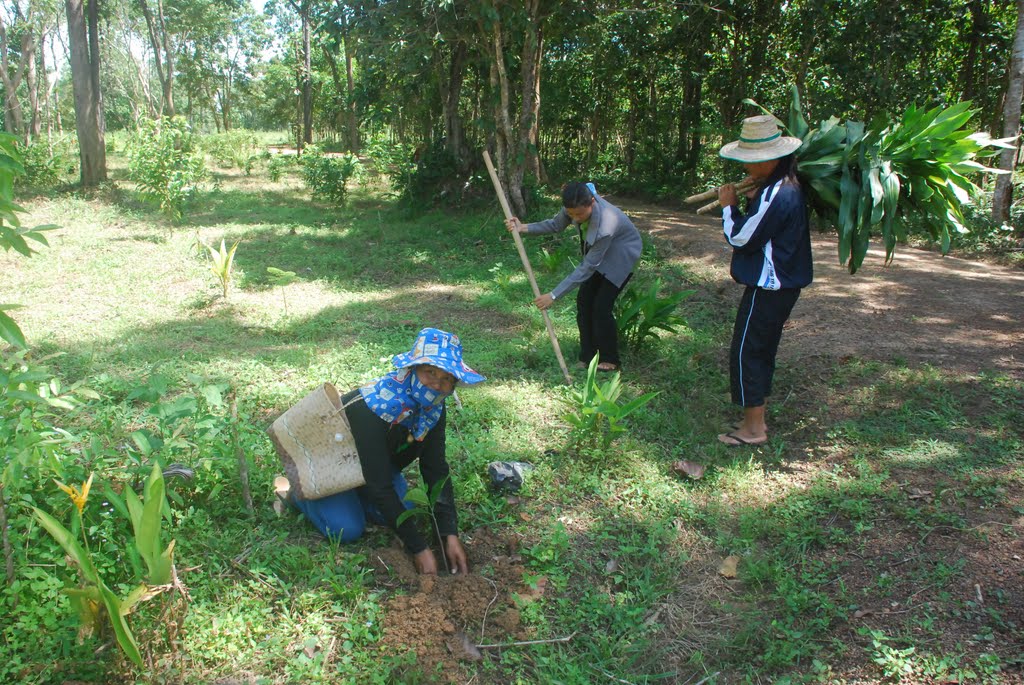 Planting a tree at Wat Pa Rak Nam. by Art_msw