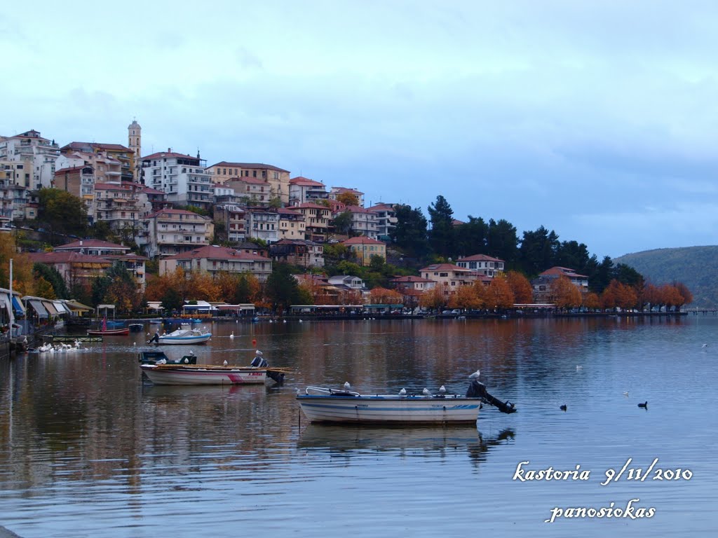 KASTORIA 2010 by pansio