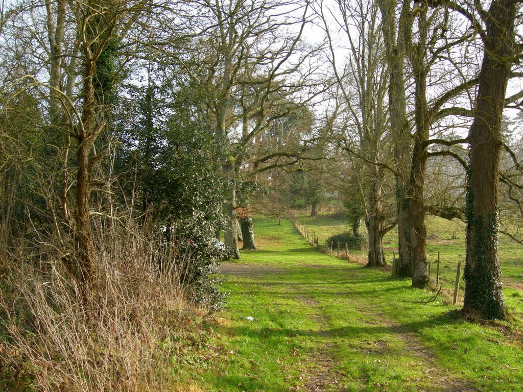 Allée champêtre. by luminem