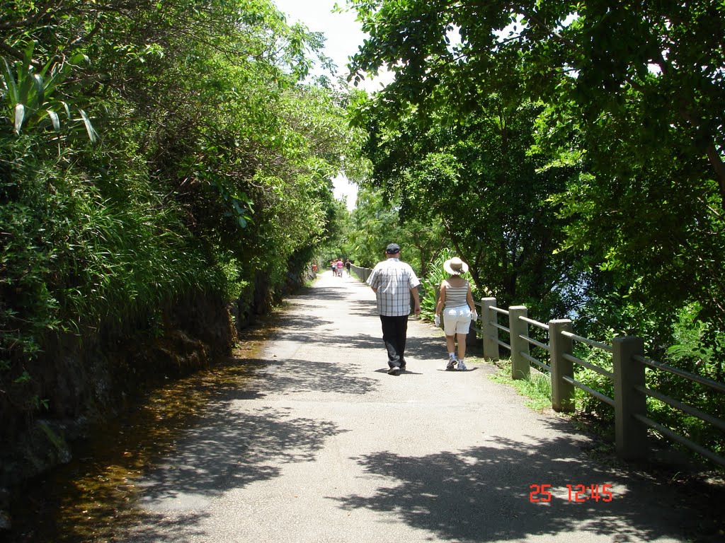 Rio de Janeiro, RJ, Brazil (walking trail Claudio Coutinho) by Louis M. Horta