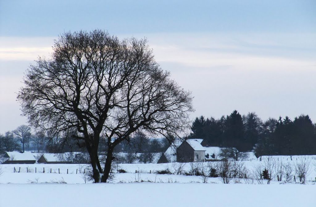 Limburgs winterlandschap by Erik B.