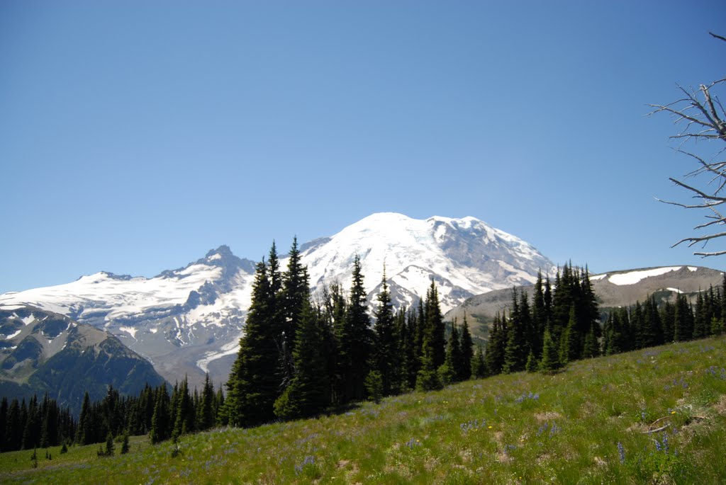 Mt Rainier from Sunrise August 2007 by Soxrule19181