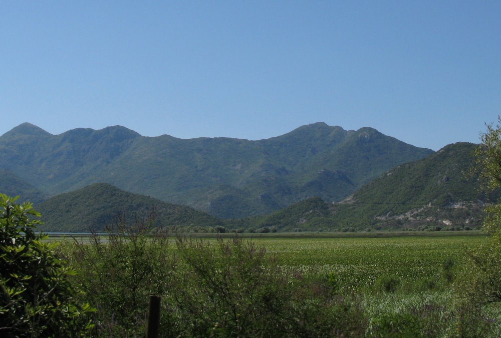 Skadar Lake by Ivan Martinetti