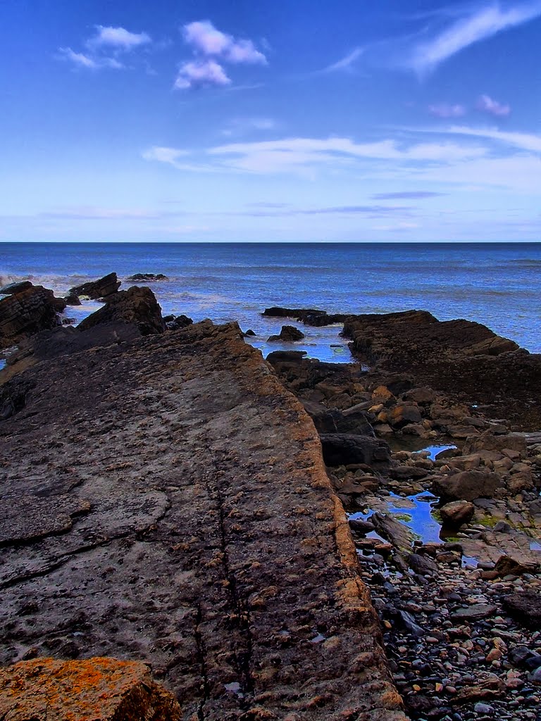 Cullernose Point, Alnwick, Northumberland by Kevin Childress