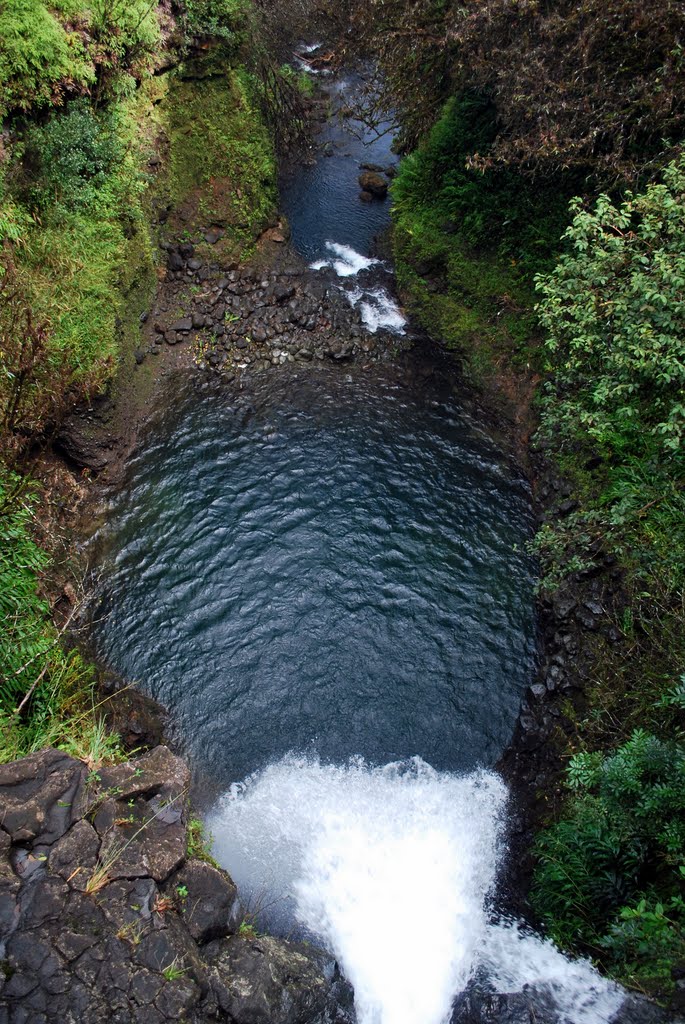 Makapipi Falls from the Bridge by Chris Harmon