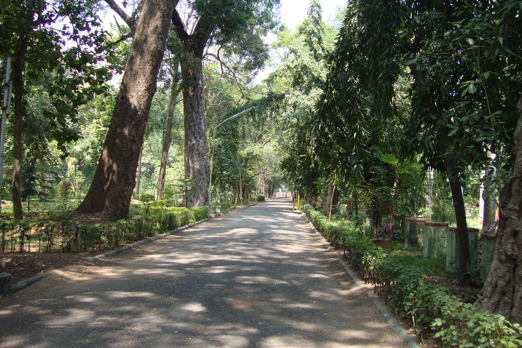 Botanical Garden PUDUCHERRY by RAGU LEO