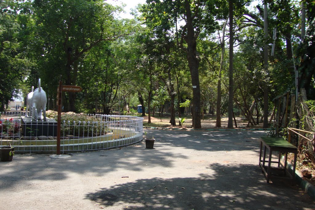 Botanical Garden PUDUCHERRY by RAGU LEO