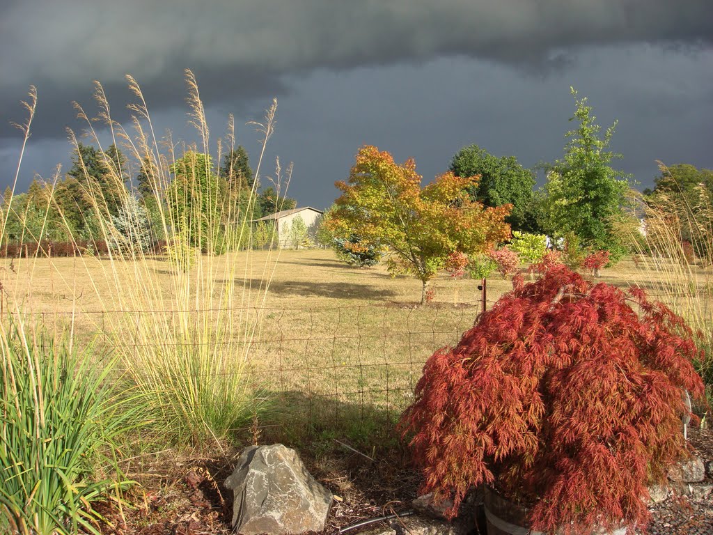 Autumn storm clouds by DeEtte Fisher