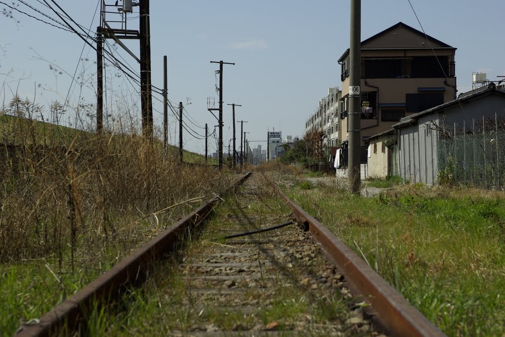 阪和貨物線。廃線跡。大和川河川敷。 by maru kuro (和具田 克典)