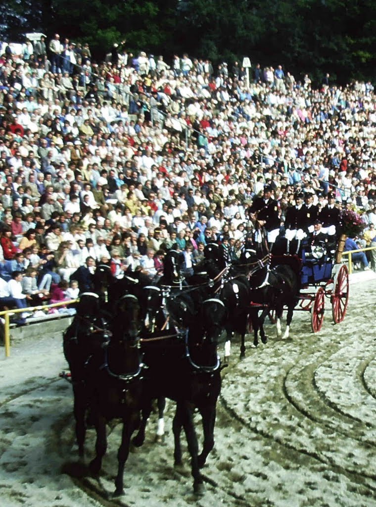 Marbach Hengstparade SechserGespann D1987-09-00_099 © http://www.fahidi.eu by Béla Fahidi