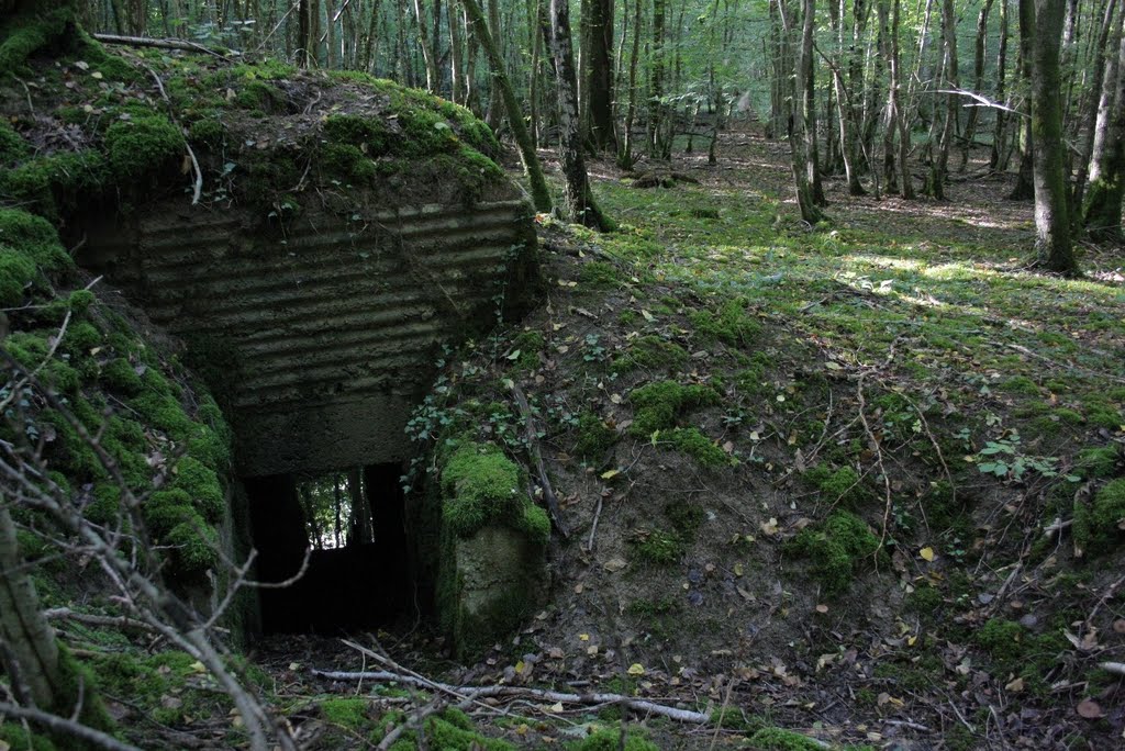 *Vestiges 1914-1918 - Bois de Fresnes: blockhaus by Hans Briaire