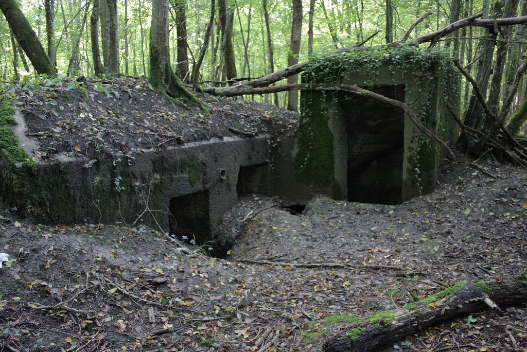 *Vestiges 1914-1918 - Bois de Fresnes: blockhaus by Hans Briaire