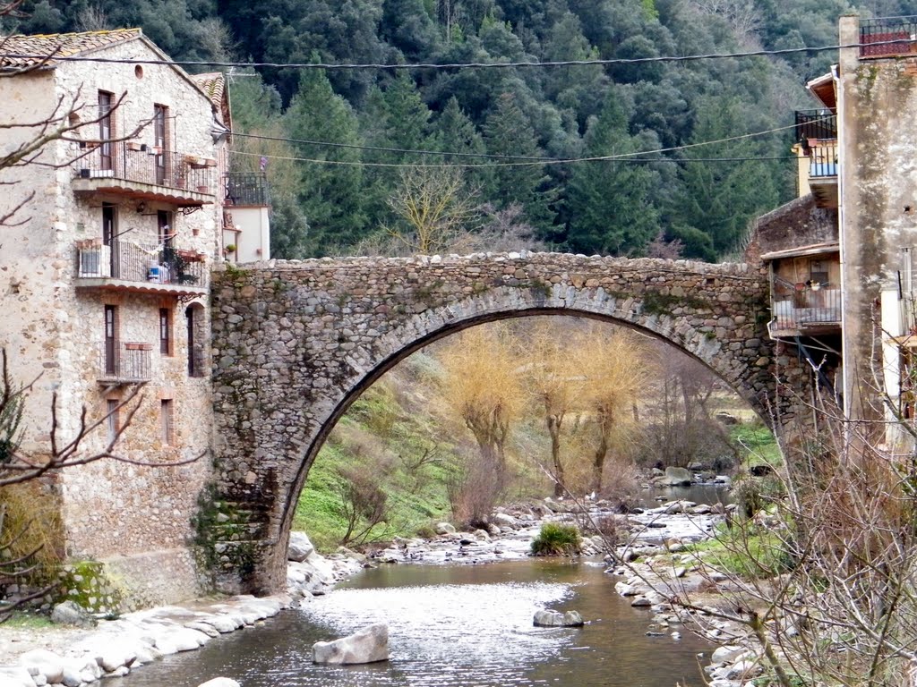 Pont Osor by manel crous