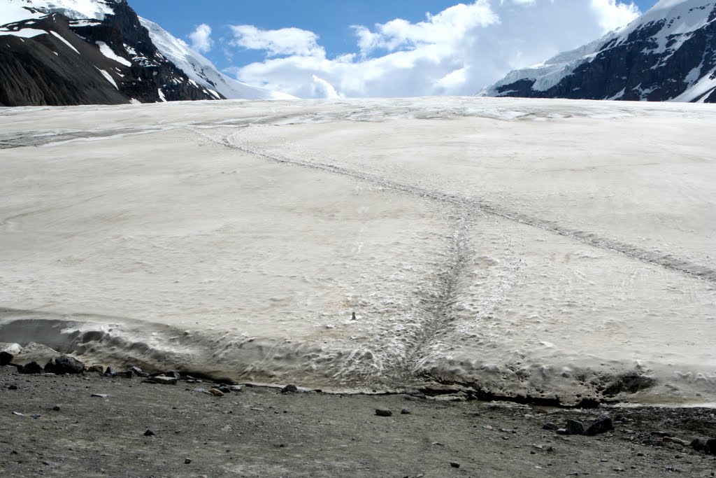 El límite de la lengua del glaciar Athabaska by R Melgar