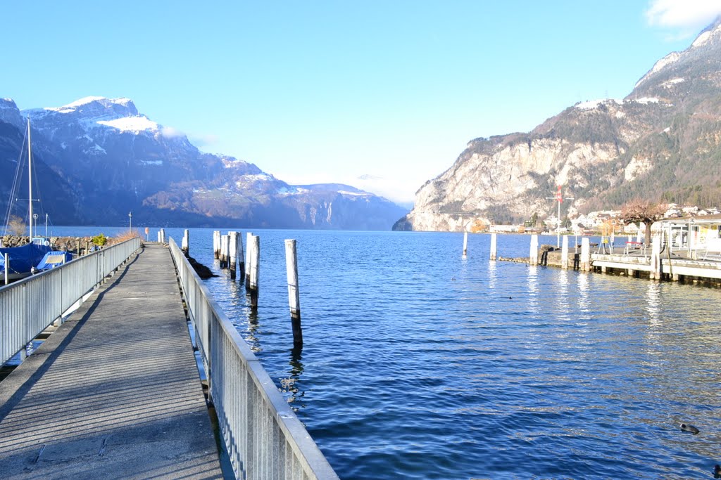 Blick auf urnersee vom ufer aus gesehen. by Peter, W,