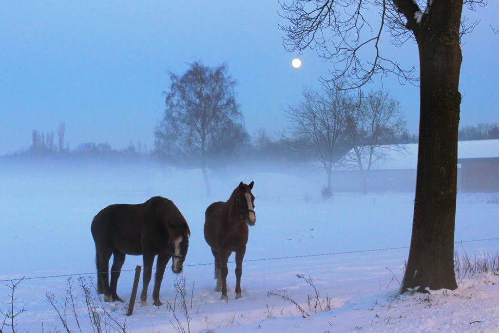 Mist and full moon by © cvandermeijden