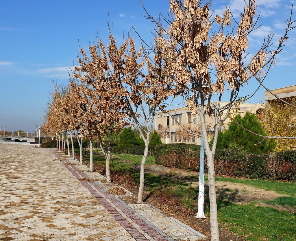 Shahed University Open Area _MR by Mehrdad - HQPs Group