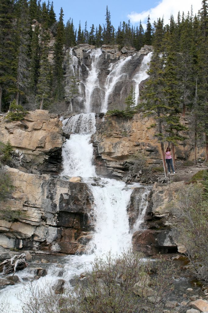 Tangle Falls, near the the icefields parkway by R Melgar