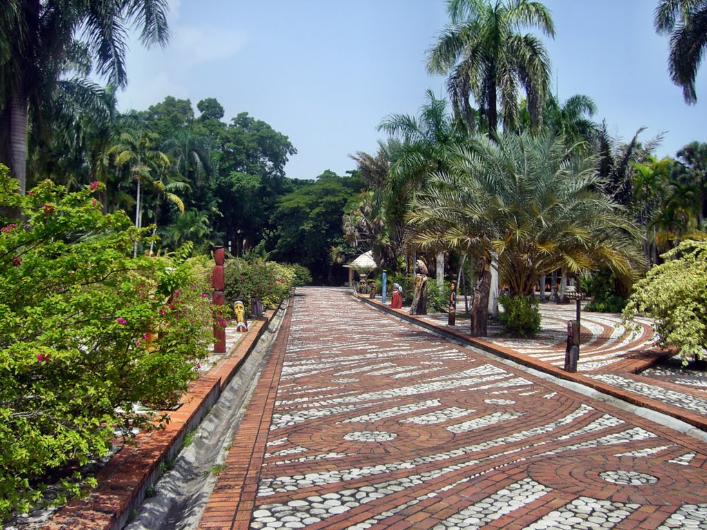 Panorámica Jardín Botánico by Florian Polanco