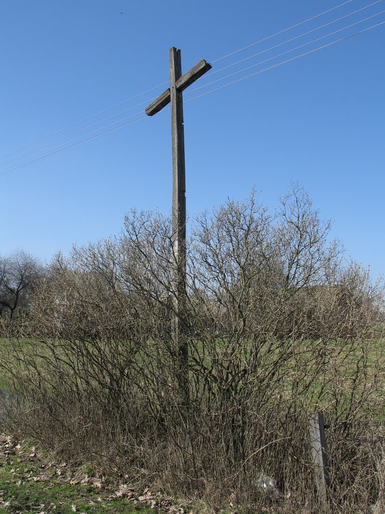 Gmina Zbuczyn, Poland by hauer