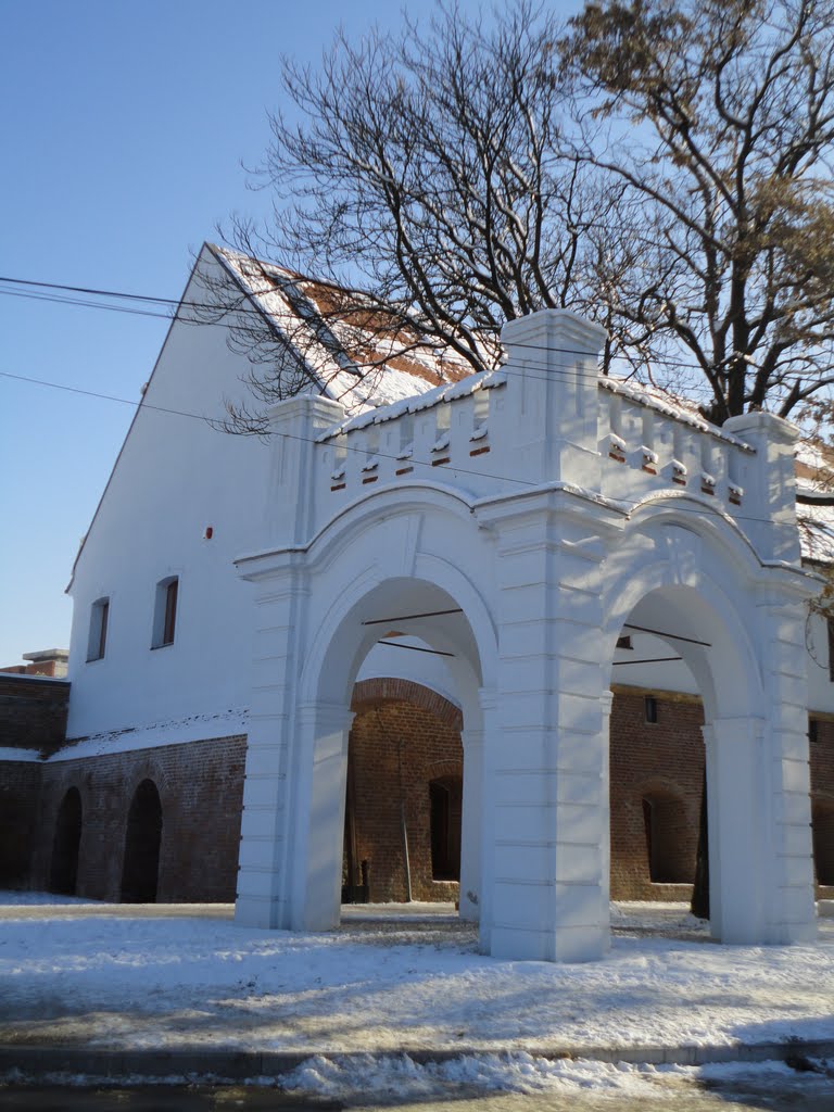 GATE at THERESIA BASTION, winter, Timisoara by Corneliu Anca